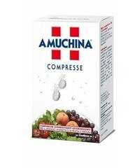 AMUCHINA COMPR. EFFERV. DISINF. 5 GR KG 1