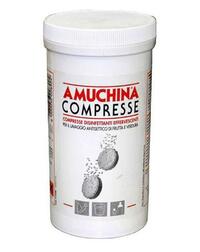 AMUCHINA COMPR. EFFERV. DISINF. 250 X 2 GR.